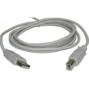 Cables USB-A USB-B Macho-Macho Gris