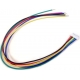 Conector Cable JST-PH 2mm 5pin