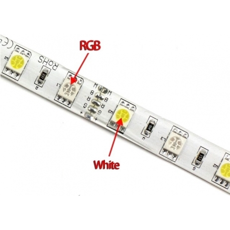 Tiras flexible Siliconada RGBW IP65 de 60 Led, 12v