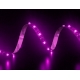 Tira Flexible Siliconadas IP65 60 Led 5050 Rosa