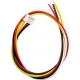 Conector Cable JST-PH 4pin