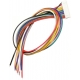 Conector Cable JST-PH 11pin