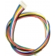 Conector Cable JST-PH 7pin