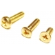Tornillo y Tuerca Dorada M3