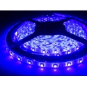 Tiras Flexibles 60 Led-3528 Ultravioleta Ip20