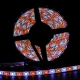 Tiras flexible Siliconada RGBW IP20 de 60 Led, 12v