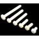 Tornillos de Nylon M5 Din7985