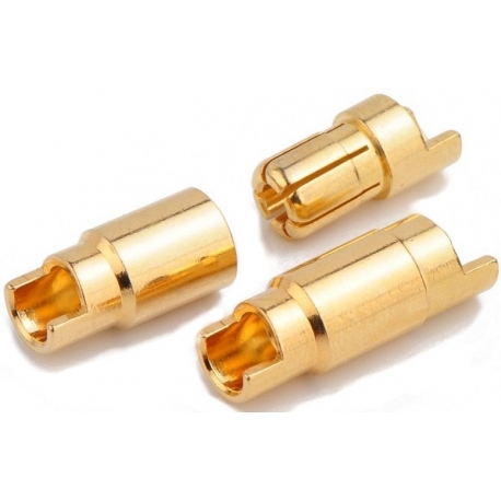 Conector Bananas de 6mm Amass