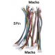Conector JST XHP 2.5mm Macho-Macho 5pin