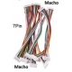 Conector JST XHP 2.5mm Macho-Macho 7pin