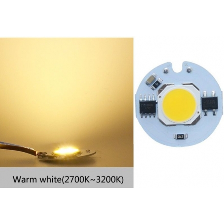 Modules Chip On Board (COB) 12w 220v