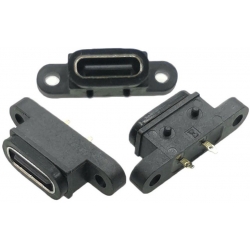 Conector USB-C Hembra de Panel 2 pin
