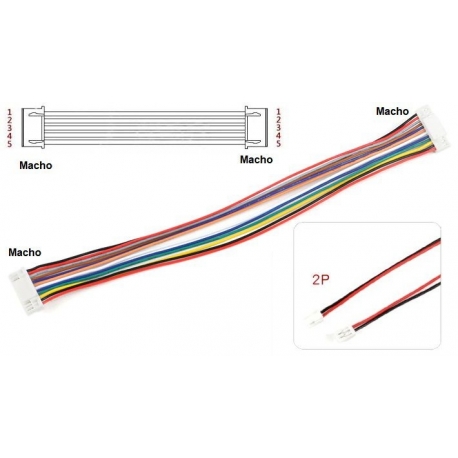 JST GH Polarizados 1.25mm Macho-Macho con Cables 2P