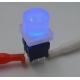 Pulsadores Tact Switch 10x10mm con Led Azul