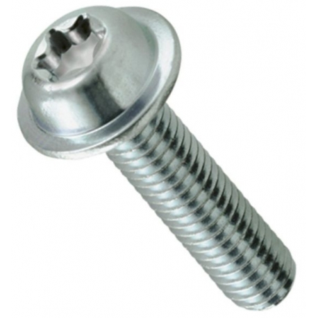 Tornillos M5 con arandela cabeza Torx TX25