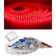 Tiras Flexibles IP20 120 Led 2835 12-24v Rojo