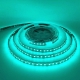 Tiras Flexibles IP20 120 Led 2835 Verde-Azulado