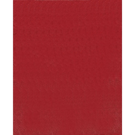 Papel de cebada 400x300mm