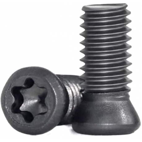 Tornillo Torx de inserción CNC Grade 12.9