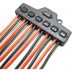 Borna Spliter 12+2 polarizadas