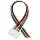 Conector JST XHB 2.5mm Hembra con Cables