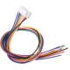 Conector JST XHB 2.5mm Hembra con Cables