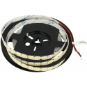 Tiras de 252 Led 2835 24v IP20
