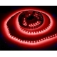 Tira flexible No WP 60 Led 3528 Rojo