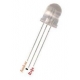 Led Bicolor 8mm