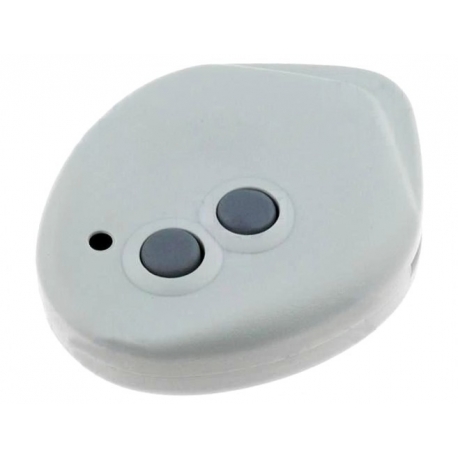 Caja de mando a distancia ABS 2 teclas