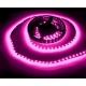 Tira flexibles No WP 60 Led Led 3528 Rosa