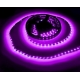 Tira flexibles No WP 60 Led Led 3528 Violeta