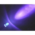 Led Ultravioleta Encapsulados 3mm