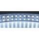 Tiras flexible de 240 Led 3528 WP sumergible