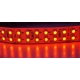 Tiras flexible de 240 Led 3528 WP sumergible
