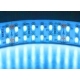 Tiras flexible de 240 Led 3528 WP sumergible
