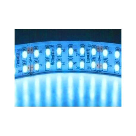 Tiras flexible de 240 Led 3528 WP sumergible