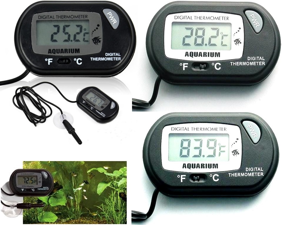 Termometro digital de panel